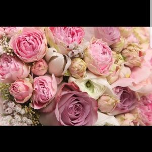 Meet your Posher, Ashleigh